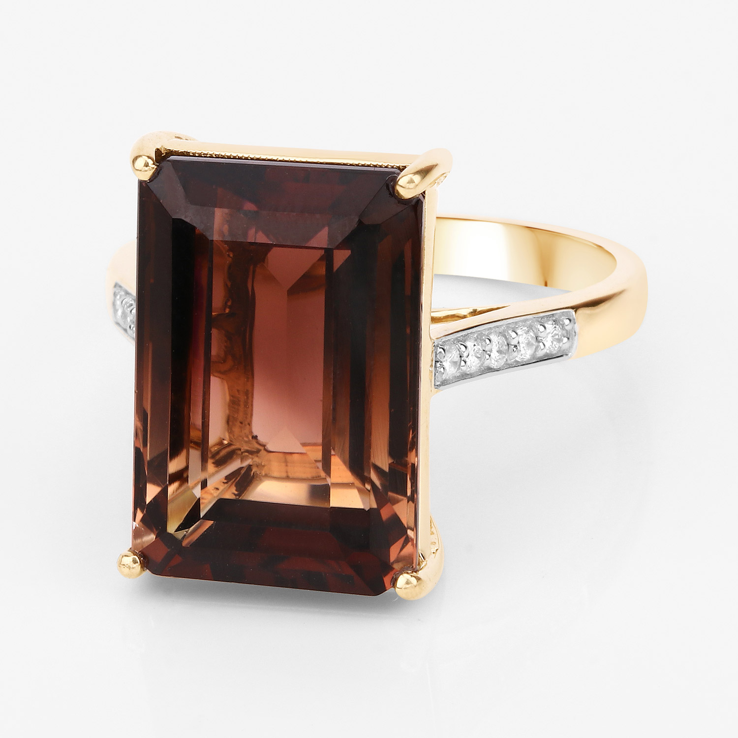 QR28592BIOCTOURWD-14KY