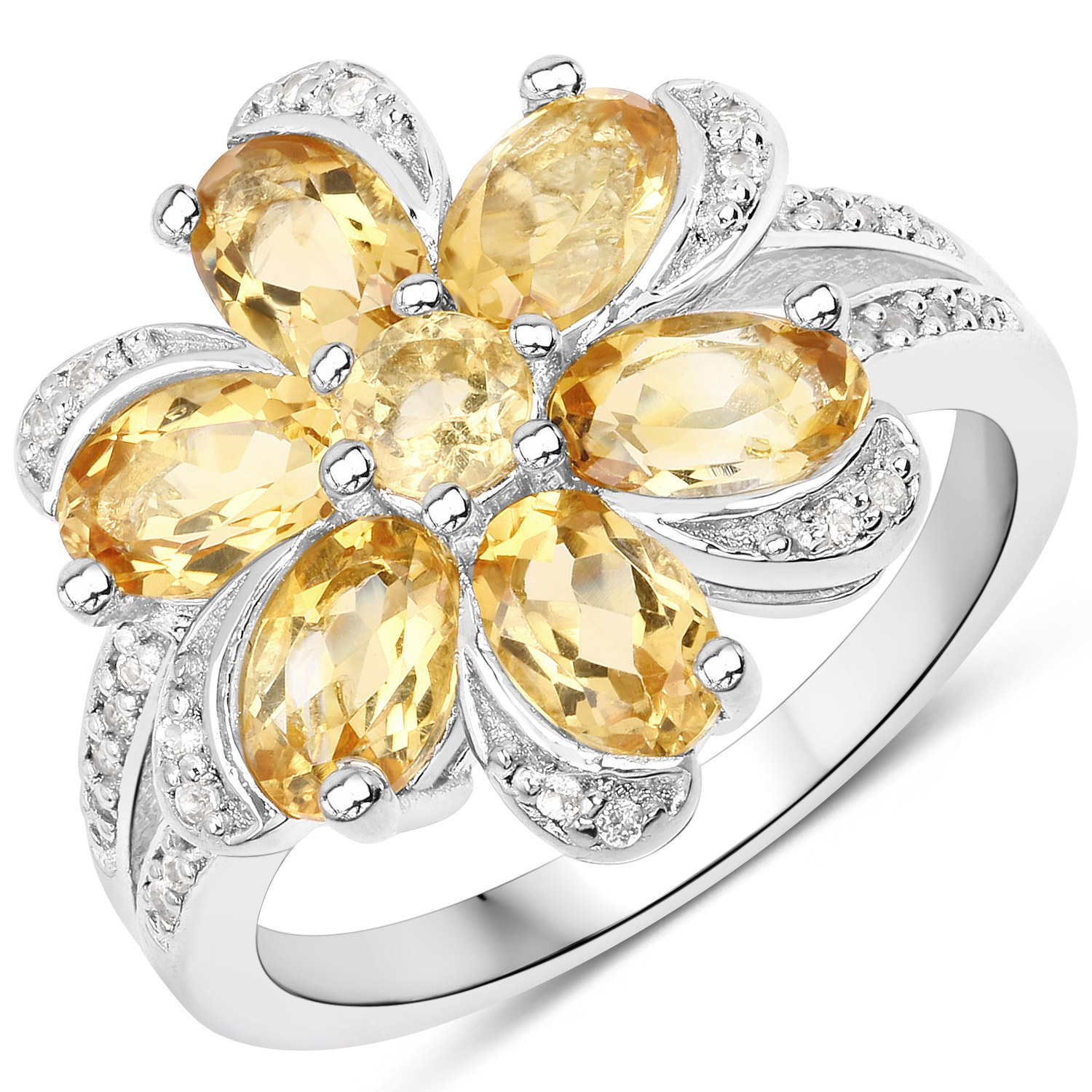 QSETR15603-P9200-E6828CWT-SSR